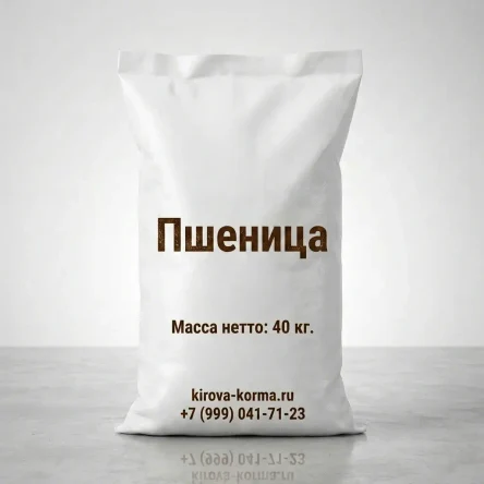 Пшеница фуражная 40 кг