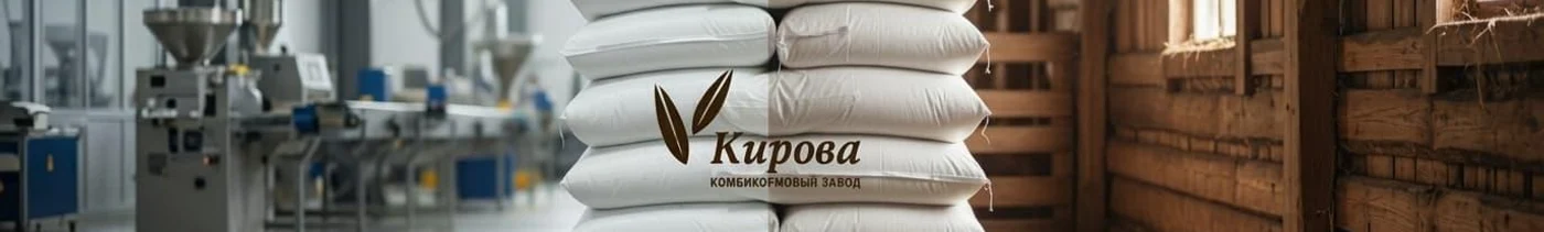 82a09830-3dbc-4784-8350-bafcd4f68c0c-сделай-пожалуйста-такуюже-картинку-только-16-9.jpg